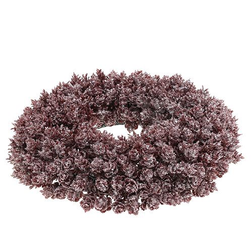 Floristik24 Couronne de pomme de pin Ø25cm Bourgogne glacé