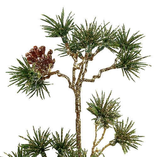 Floristik24 Branche de sapin vert, paillettes d'or 46cm