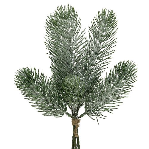 Floristik24 Branche de sapin vert glacé 30cm 3pcs