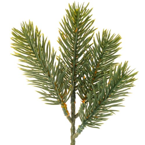 Branche de sapin artificielle verte 25 cm pour décoration hivernale, lot de 24 acheter | Floristik24.fr