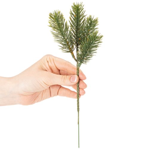 Branche de sapin artificielle verte 25 cm pour décoration hivernale, lot de 24 | Floristik24.fr