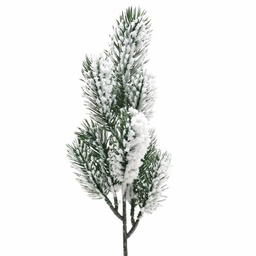 Floristik24 Branche de sapin vert recouverte de neige 39cm 8 pcs