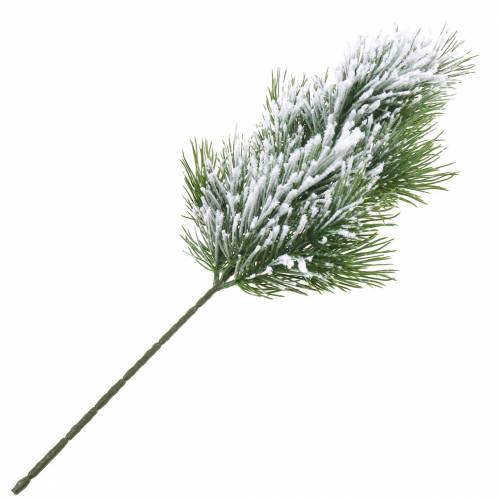 Floristik24 Branche de pin verte enneigée 50cm