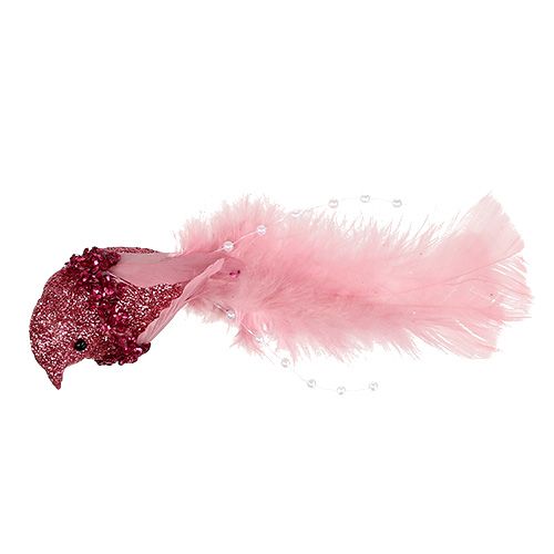 Floristik24 Pigeon sur le clip trié en couleur. 15cm 8pcs