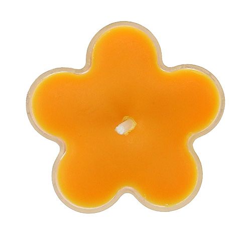 Floristik24 Bougie chauffe-plat parfumée en forme de fleur 4,5 x 2 cm 6 p.