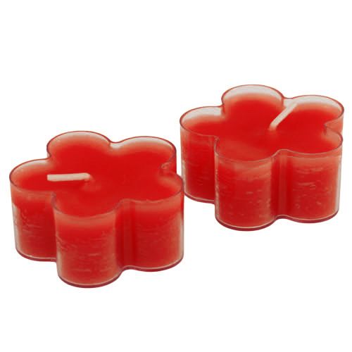 Floristik24 Blossom Light Rubis 12pcs