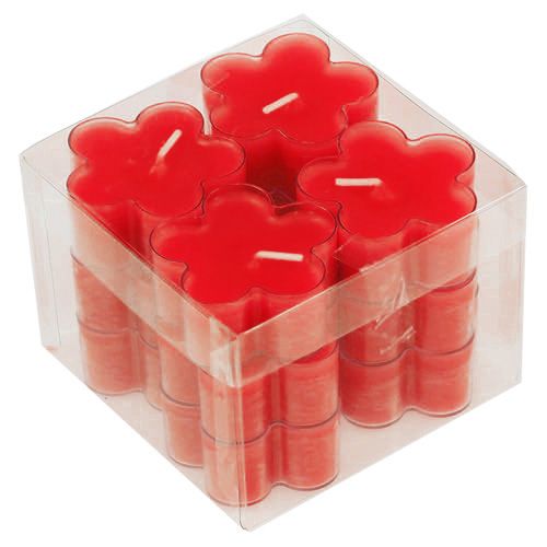 Floristik24 Blossom Light Rubis 12pcs