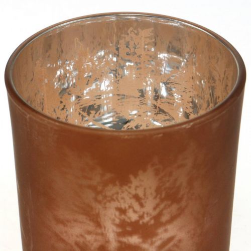 Floristik24 Lanterne en verre, photophore en verre avec motif feuille, décoration automne Ø8cm H9cm 2pcs