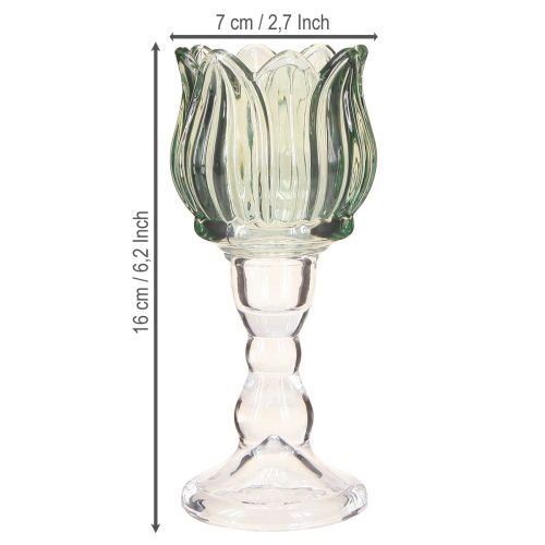Article Photophore tulipe verre vert Ø7cm H16cm 2pcs