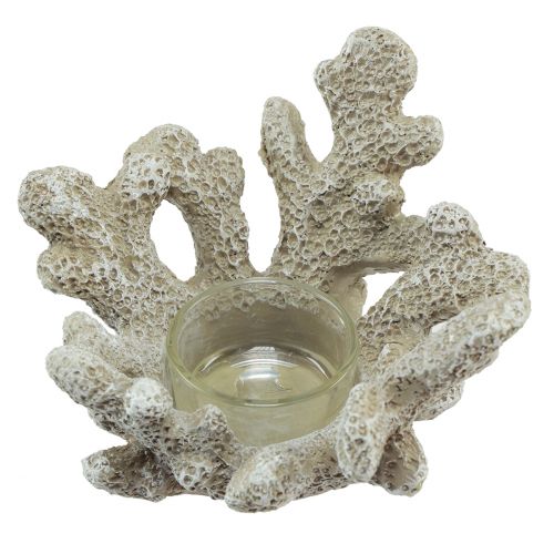 Floristik24 Photophore décoration corail gris maritime Ø12cm H8cm