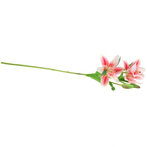 Floristik24 Lys Tigré Rose, Blanc 60cm