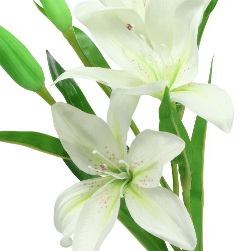 Lys blanc 58cm