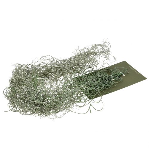Floristik24 Tillandsia artificiel gris 130cm