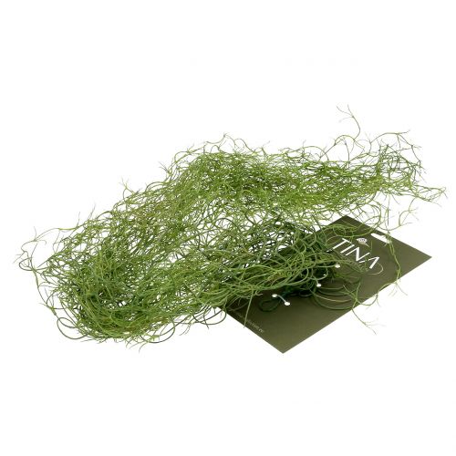 Floristik24 Tillandsia vert artificiel 130cm