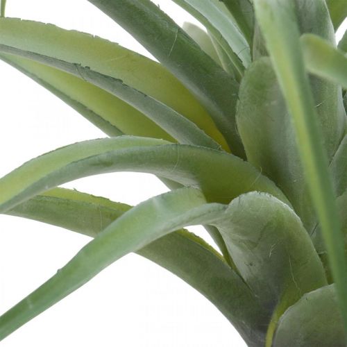 Article Déco Tillandsia artificielle plante artificielle à coller vert Ø45cm