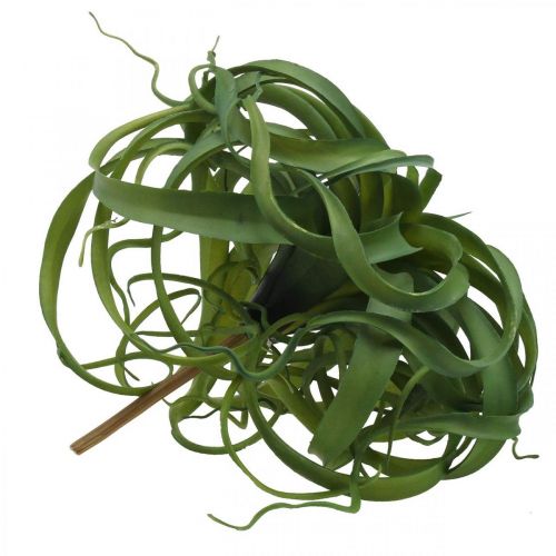 Article Tillandsia Plante verte artificielle à coller Large Green Ø40cm