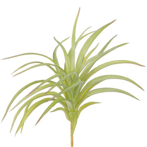 Plantes Artificielles Vertes Tillandsia avec Bâton Ø17cm 3 pcs