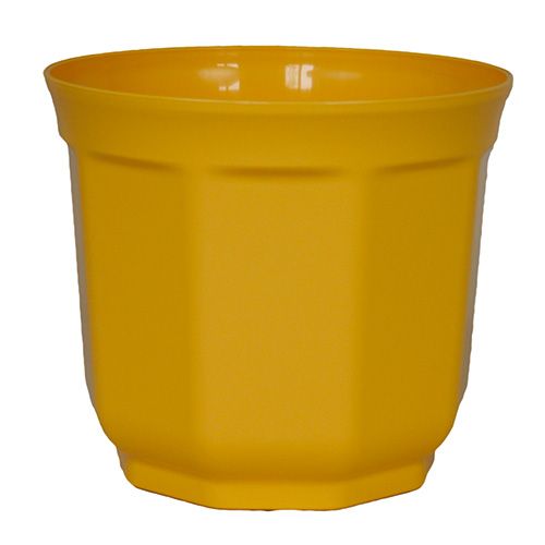 Floristik24 Jardinière Tino 13cm Jaune (10p.)