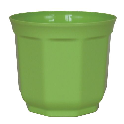 Floristik24 Jardinière Tino vert anis