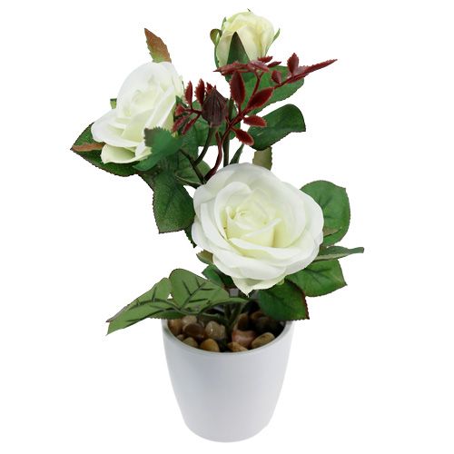 Floristik24.fr Décoration de table rose blanche en pot 23 cm - acheter pas  cher en ligne