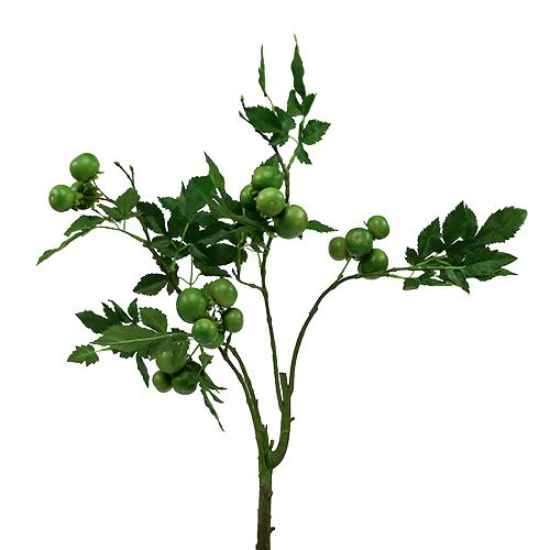 Floristik24 Branche de tomate L60cm verte