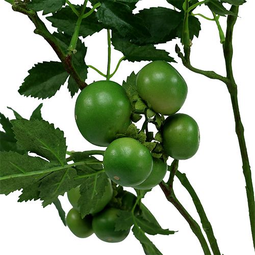 Floristik24 Branche de tomate L60cm verte