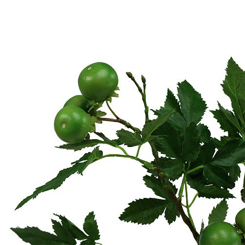 Floristik24 Branche de tomate L60cm verte