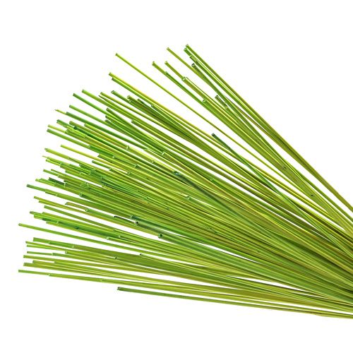 Article Bâtons décoratifs Tonkin 70cm vert clair 150 pièces