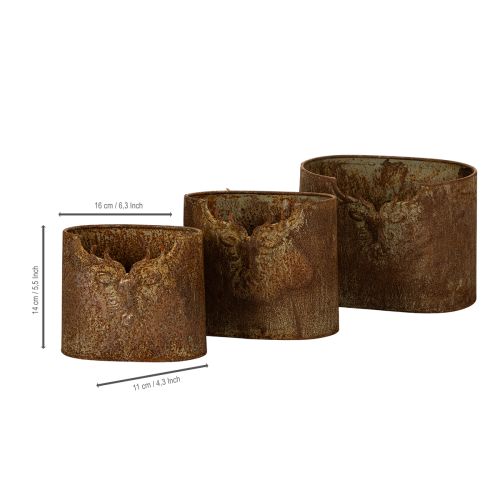 Pots décoratifs ovales en métal avec motif de cerf 24cm rouille set de 3 | Floristik24.fr