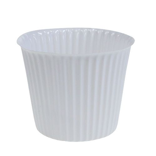 Floristik24 Pot plissé en plastique Ø 10 cm H. 8 cm blanc 25 p.