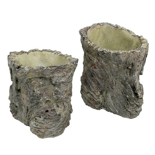 Floristik24 Pot en tronc d&#39;arbre Ø10,5cm H12cm 2pcs