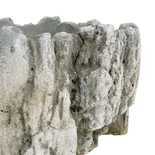 Floristik24 Pot avec écorce 20,5cm x 17cm 1pc