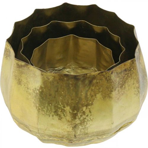 Article Bol décoratif bol métal laiton Ø22/18/14cm lot de 3