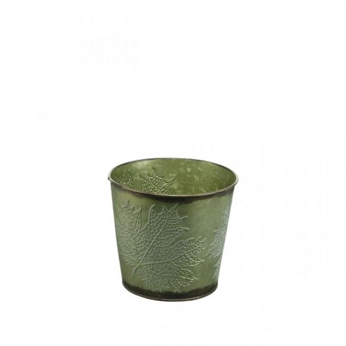 Floristik24 Jardinière pour l&#39;automne, jardinière avec décor de feuilles, seau en métal vert Ø14cm H12.5cm