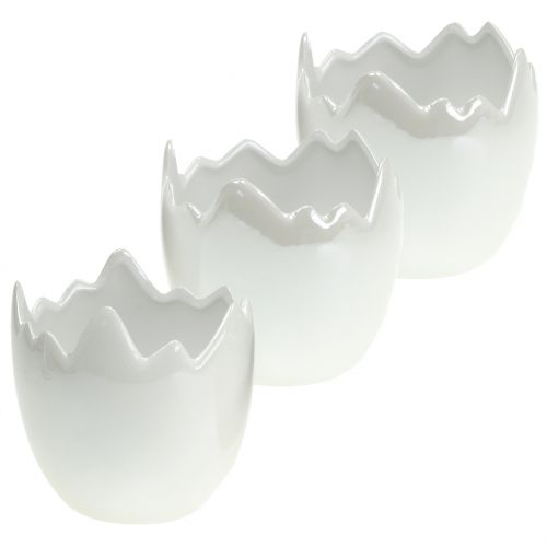 Floristik24 Planteur de nacre blanche coquille d&#39;oeuf Ø8cm H9cm 3pcs