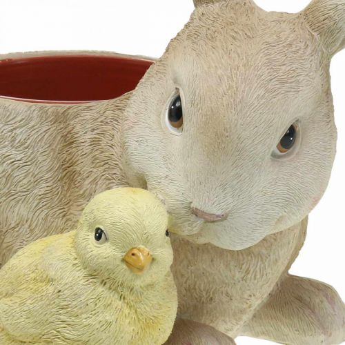 Floristik24 Décoration de Pâques à planter, lapin et poussin, printemps, cache-pot H24cm L30cm