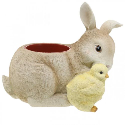 Floristik24 Décoration de Pâques à planter, lapin et poussin, printemps, cache-pot H24cm L30cm