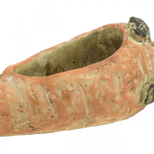 Article Carotte déco, décoration béton à planter, Pâques, cache-pot carotte, déco printemps L28cm