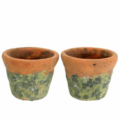 Floristik24 Cache-pot cache-pot vintage argile naturelle Ø14.5cm H12cm 2pcs