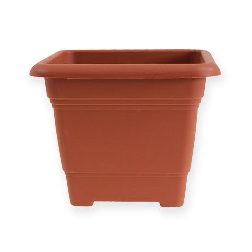 Floristik24 Pot "Nora" 14cm x 14cm H11cm effet terre cuite, 1pce