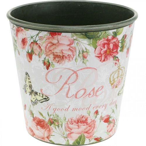 Article Jardinière, godet à planter, jardinière avec rosier H13cm Ø13.5cm