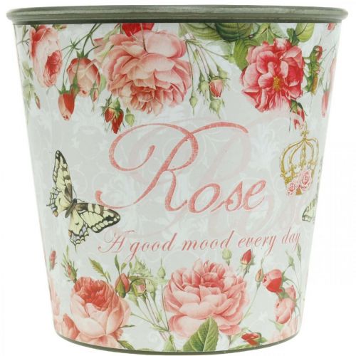 Article Jardinière, godet à planter, jardinière avec rosier H13cm Ø13.5cm