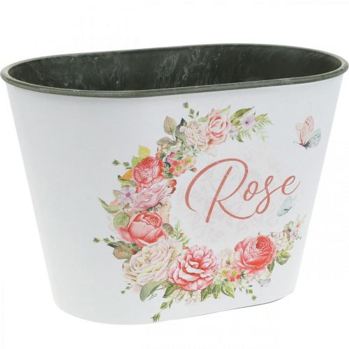 Floristik24 Jardinière, roses décoratives en pot, coupe fleurie L19cm H12.5cm