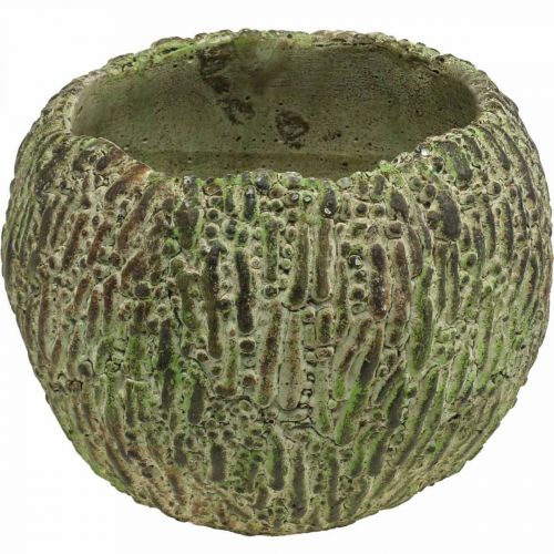 Floristik24 Jardinière en béton aspect antique vert, cache-pot marron rond Ø15,5cm