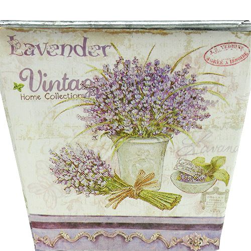 Floristik24 Pot en tôle carré avec motif de lavande, lot de 3