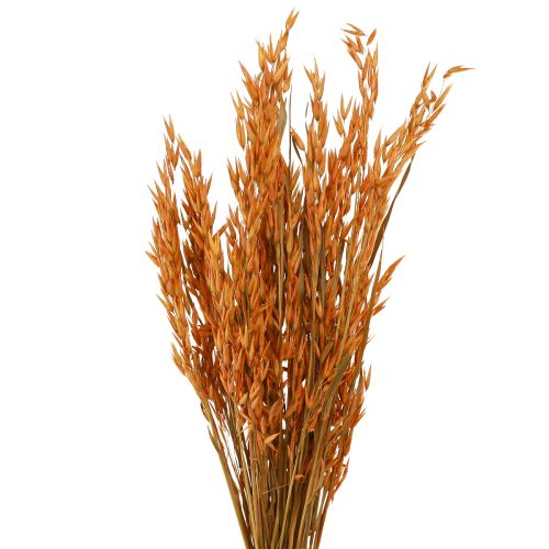 Article Déco Sec Avoine Déco en Orange L64cm 70-75g 2pcs