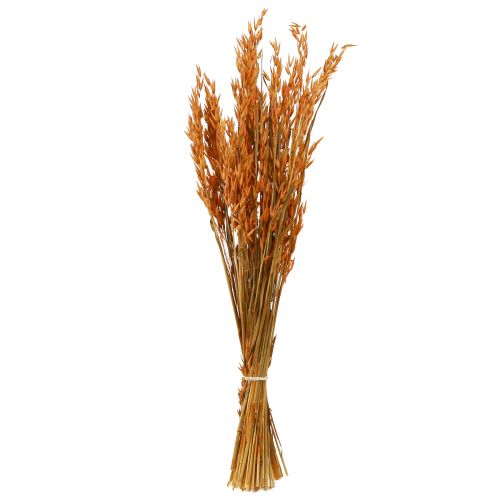 Floristik24 Déco Sec Avoine Déco en Orange L64cm 70-75g 2pcs