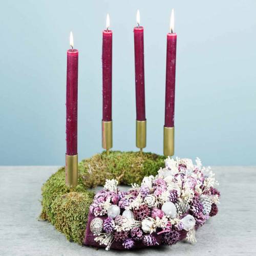 Floristik24 Fleurs Séchées Broom Bloom Blanchies 140g