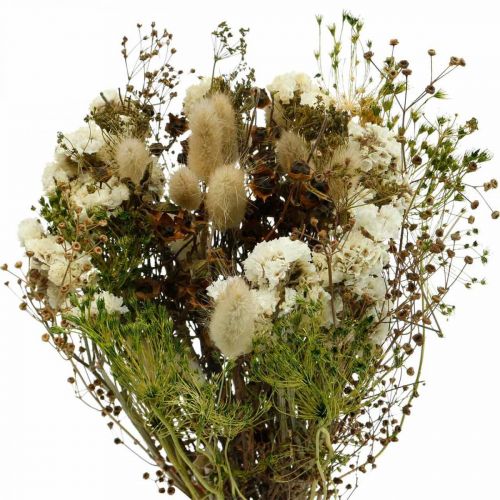 Floristik24 Bouquet de fleurs séchées aux graminées des prés blanc, vert, marron 125g fleurs séchées