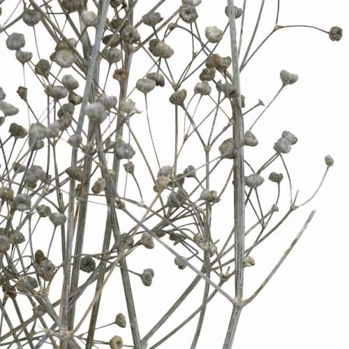 Article Fleur séchée Massasa branches décoratives blanchies 50-55cm bouquet de 6 pcs